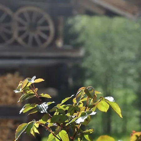 Kasperbauer Kirchberg in Tirol