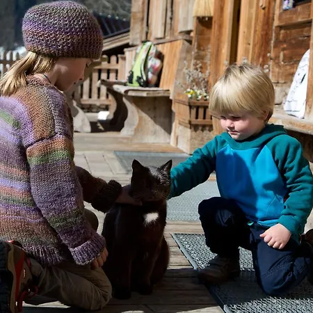 Апартаменты Kasperbauer Кирхберг