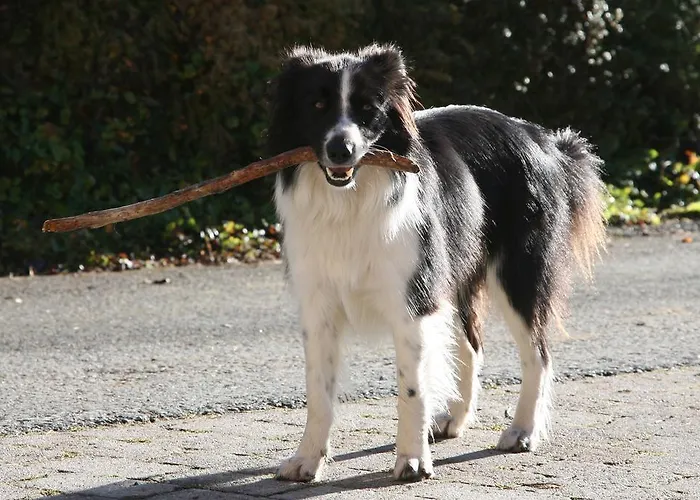 Kasperbauer Appartement