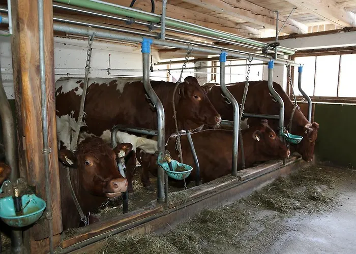 Appartement Kasperbauer