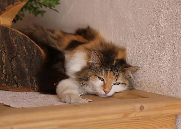 Appartement Kasperbauer