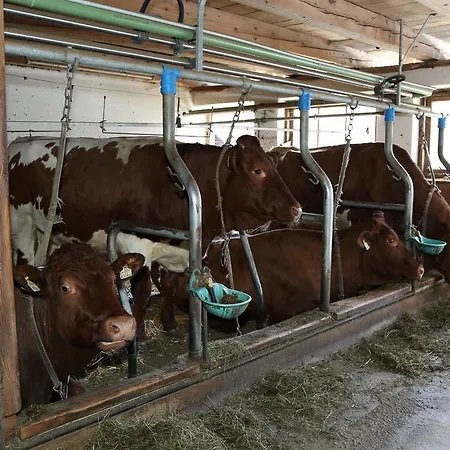 Appartamento Kasperbauer