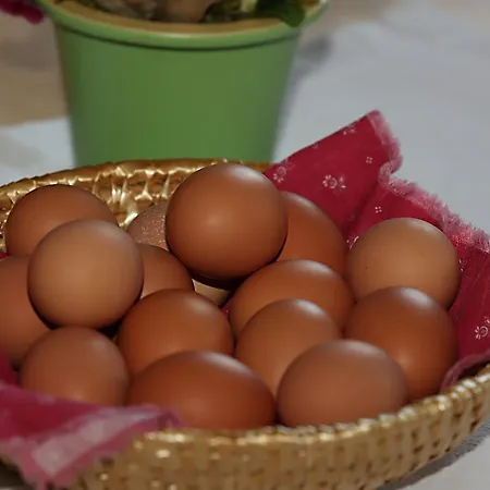 Appartamento Kasperbauer Kirchberg in Tirol