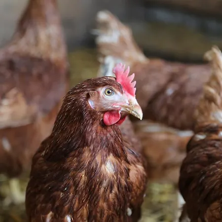 Appartamento Kasperbauer