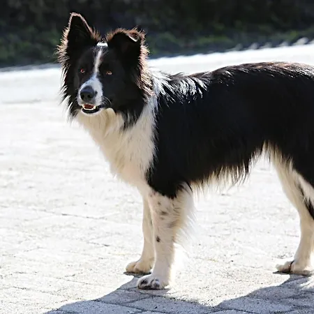 Appartamento Kasperbauer Kirchberg in Tirol