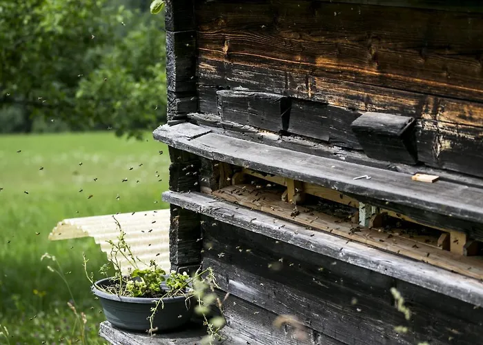 卡斯佩尔保尔公寓