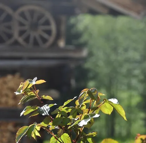 卡斯佩尔保尔公寓 蒂罗尔-基希贝格