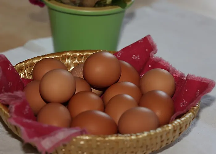 公寓 卡斯佩尔保尔公寓 蒂罗尔-基希贝格