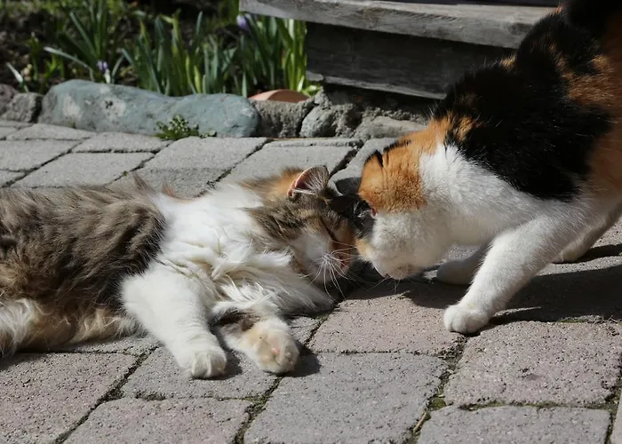 卡斯佩尔保尔公寓