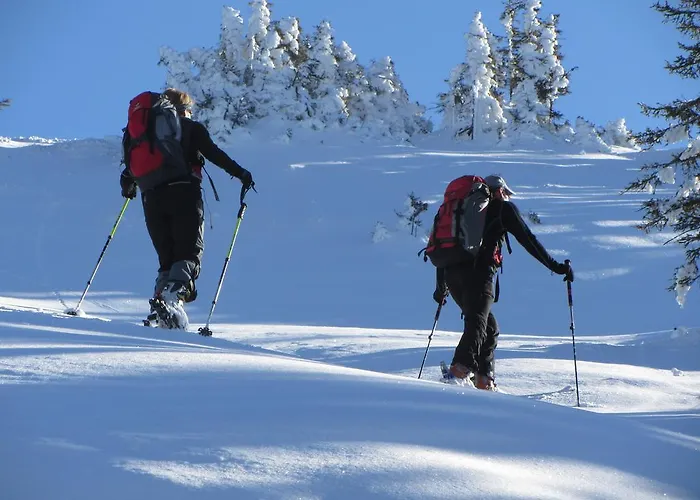 公寓 卡斯佩尔保尔公寓 蒂罗尔-基希贝格